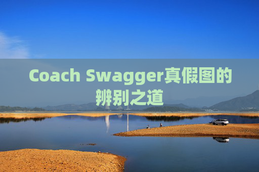 Coach Swagger真假图的辨别之道